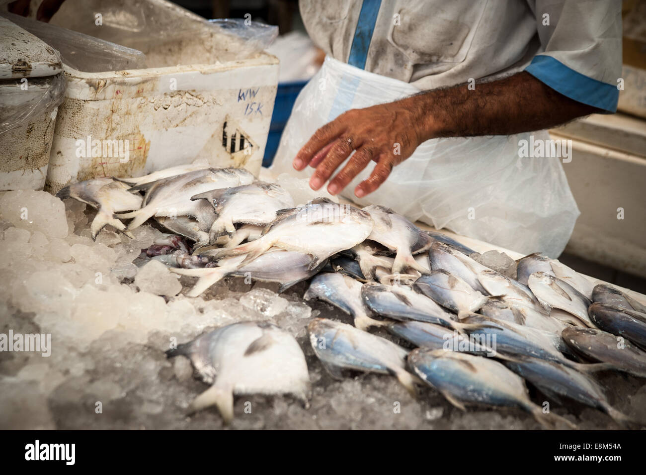 The Fish Market Dubai, United Arab Emirates Stock Photo Alamy