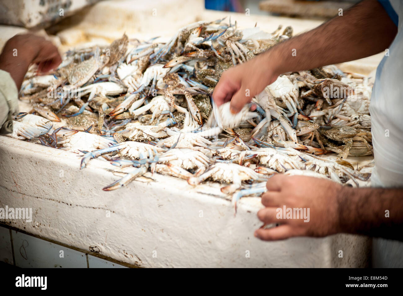 The Fish Market Dubai, United Arab Emirates Stock Photo Alamy