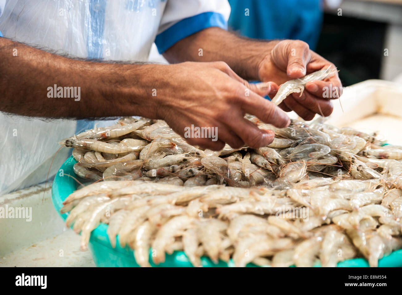 The Fish Market Dubai, United Arab Emirates Stock Photo Alamy