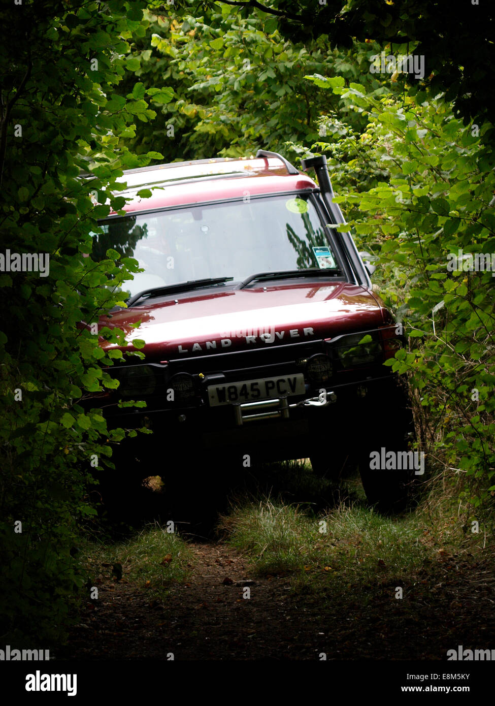 Land-Rover green laning on a bridleway, Chettle, Dorset, UK Stock Photo