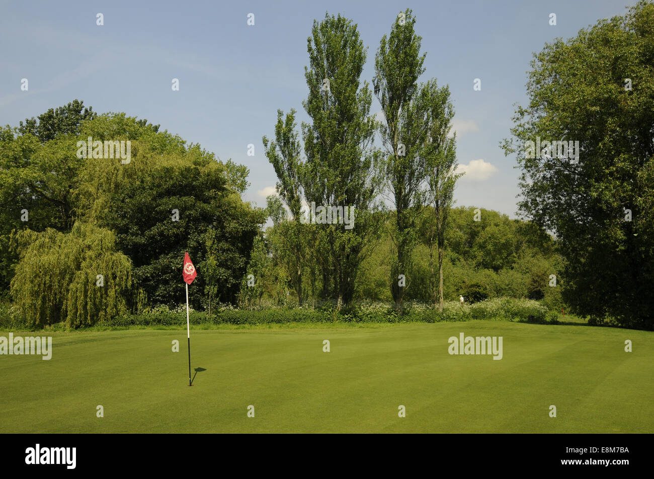 View of the 14th Green on J H Taylor Course Royal Mid-Surrey Golf Club Richmond Surrey England Stock Photo