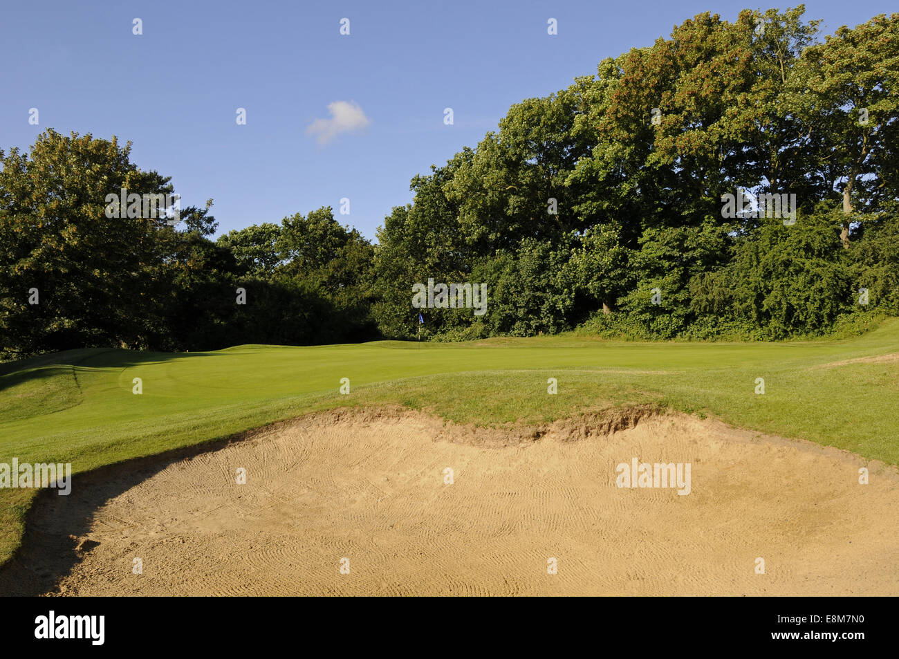 View over the front bunker to the 3rd Green Shirley Park Golf Club Croydon Surrey England Stock