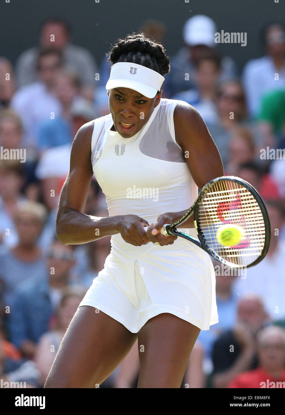 Venus Williams, USA, Wimbledon Championships 2014 ,Grand Slam Tennis Tournament, London, England, Stock Photo