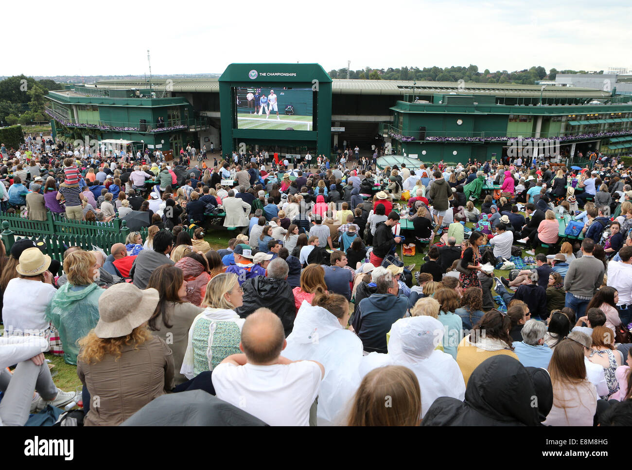 Spectators on Murray Mount at the Wimbledon Championships 2014, Stock Photo