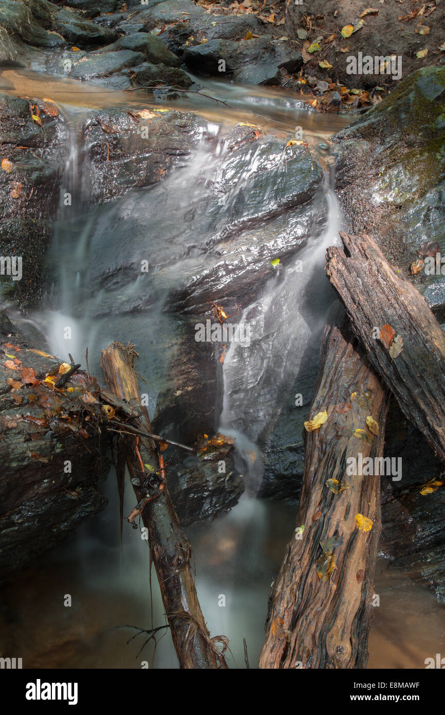 detail of little waterfall on the forest creek in west Slovakia Stock Photo