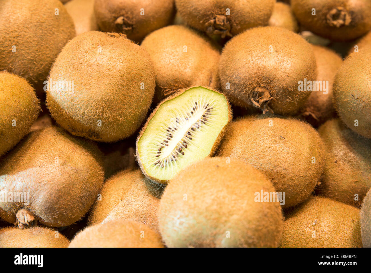 Large half circle hi-res stock photography and images - Alamy