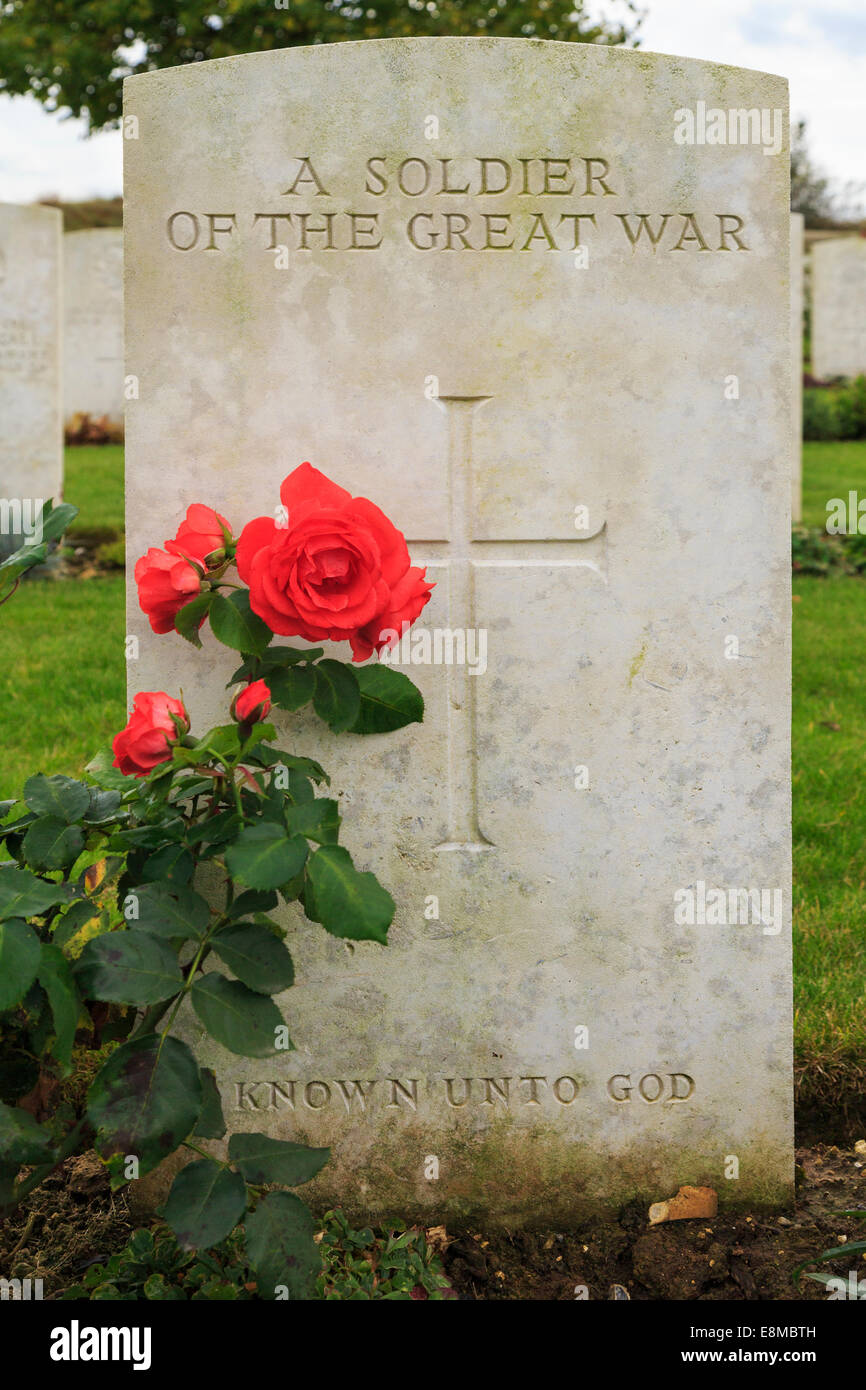 Red rose and headstone on a grave of unknown Commonwealth soldier in Cabaret Rouge British cemetery for First World War. France Stock Photo