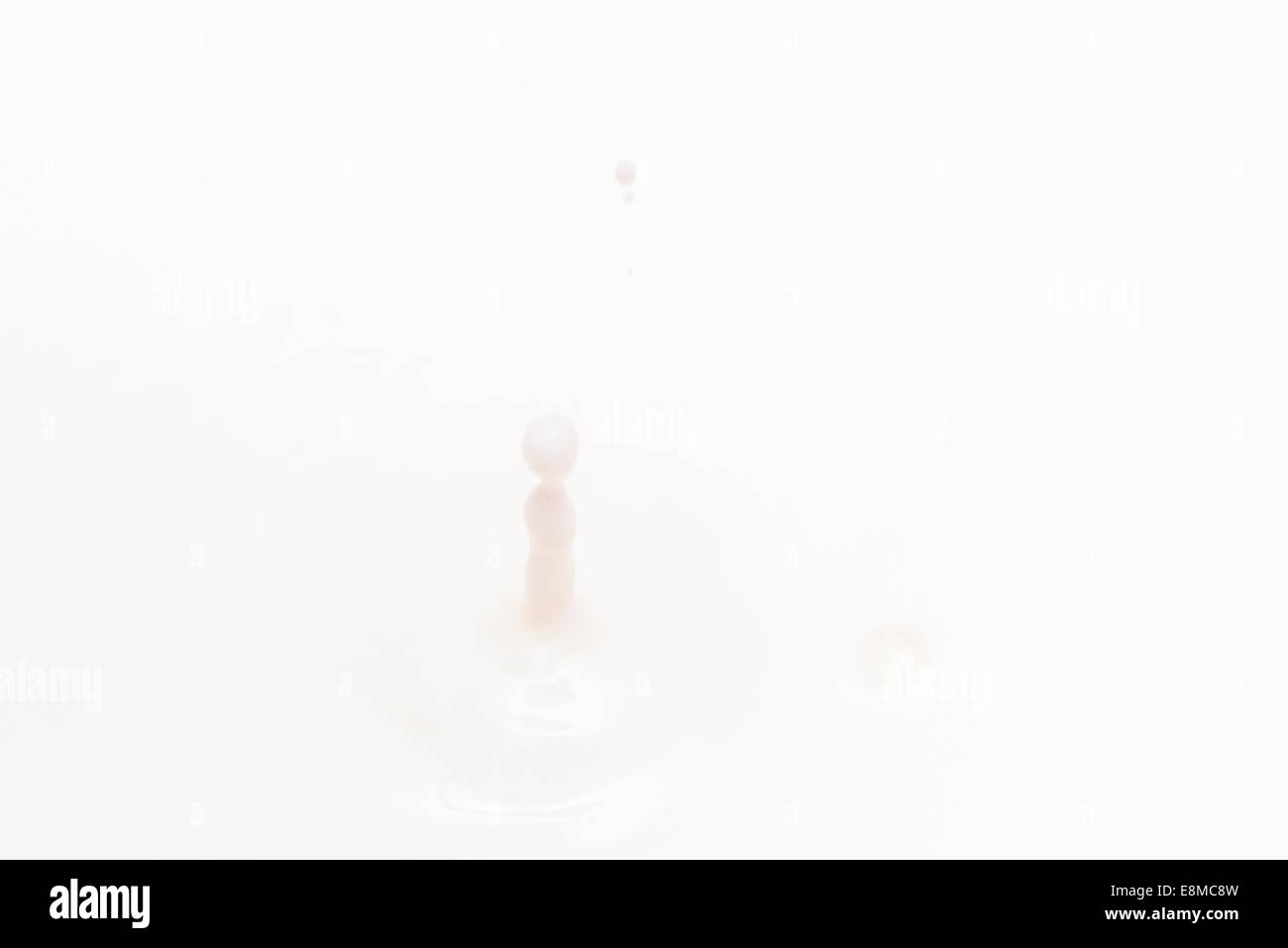 drop of milk falling and splashing Stock Photo