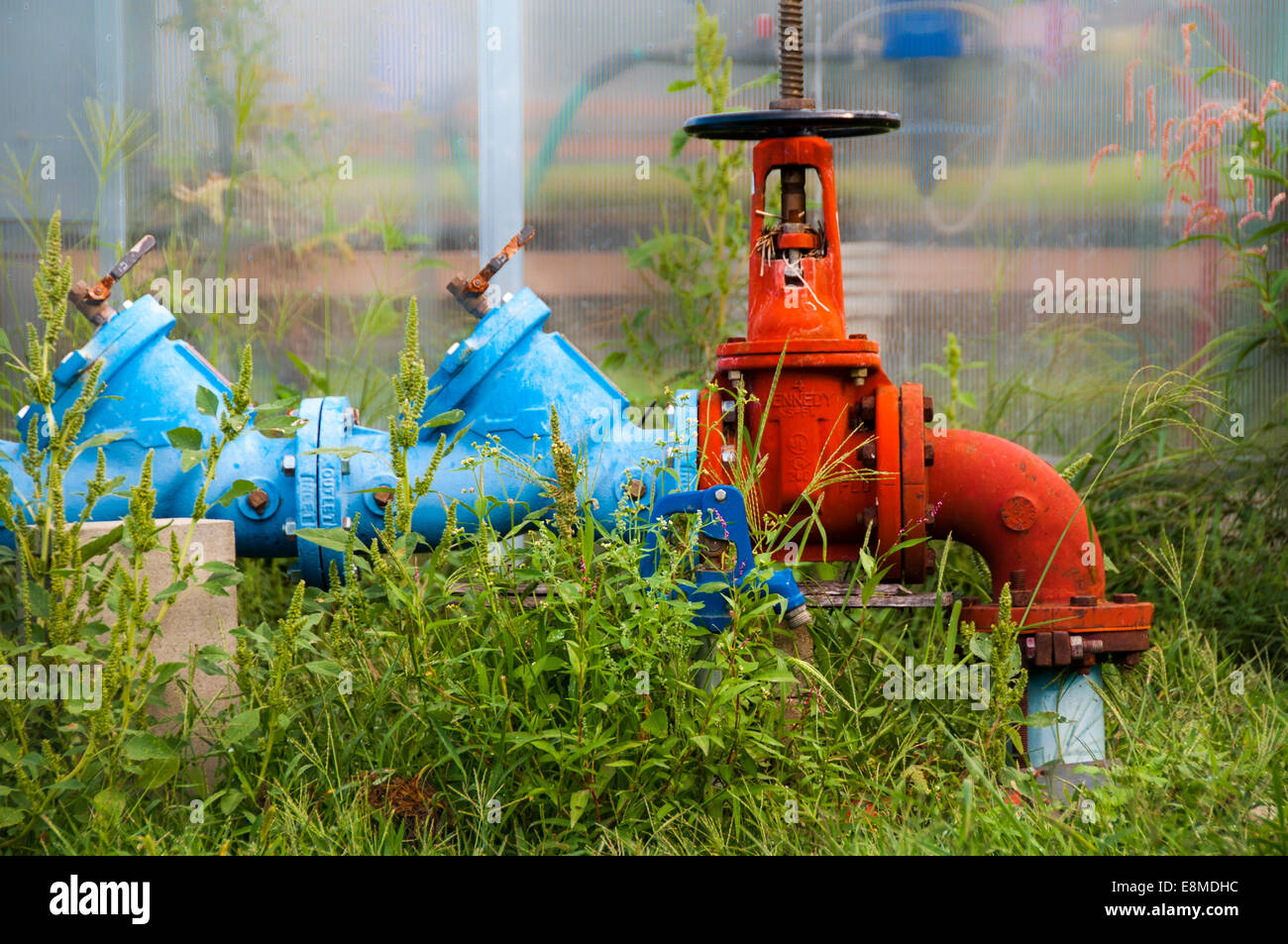 Colorful red and blue large water valve for irrigation system on a New England farm Stock Photo