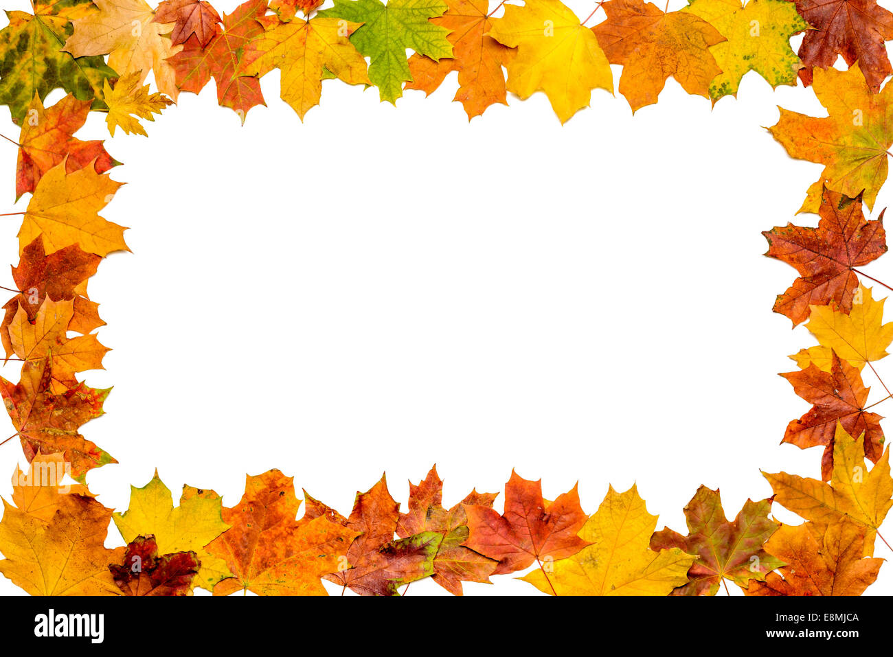 A frame made with autumn leaves isolated on white background Stock ...