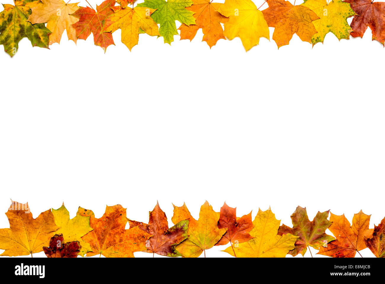 A frame made with autumn leaves isolated on white background Stock ...