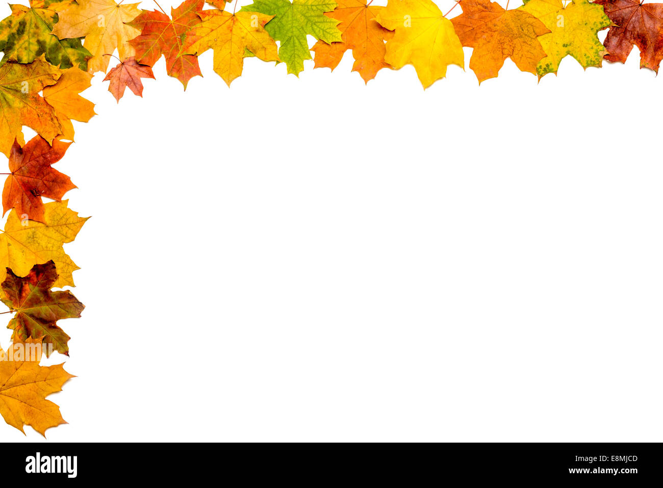A frame made with autumn leaves isolated on white background Stock ...