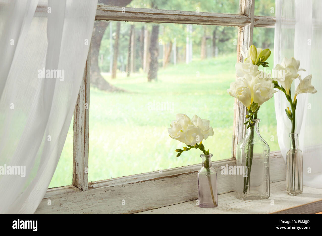 Flowers displayed in an antique bottles sitting on a window sill Stock Photo