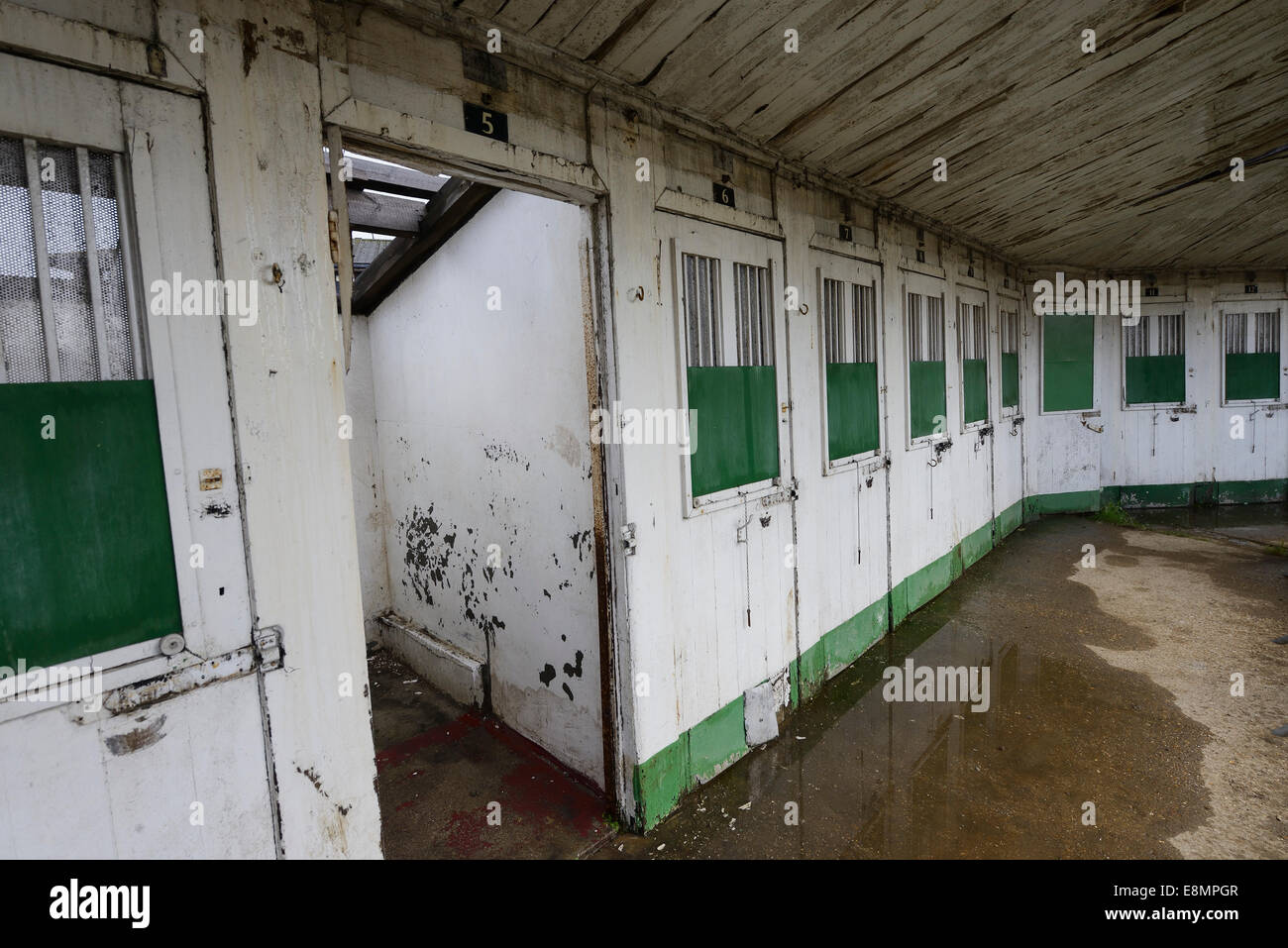 The abandoned and derelict kennels at Walthamstow greyhound track Stock