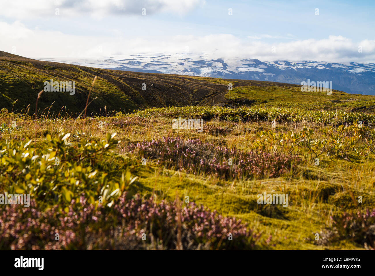 Scenic view along laugavegur trail, Eyjafjallajökull  in background Stock Photo