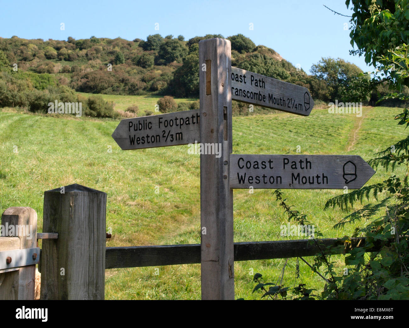 Footpath signpost on the South west coast path, Weston Mouth, Devon, UK ...