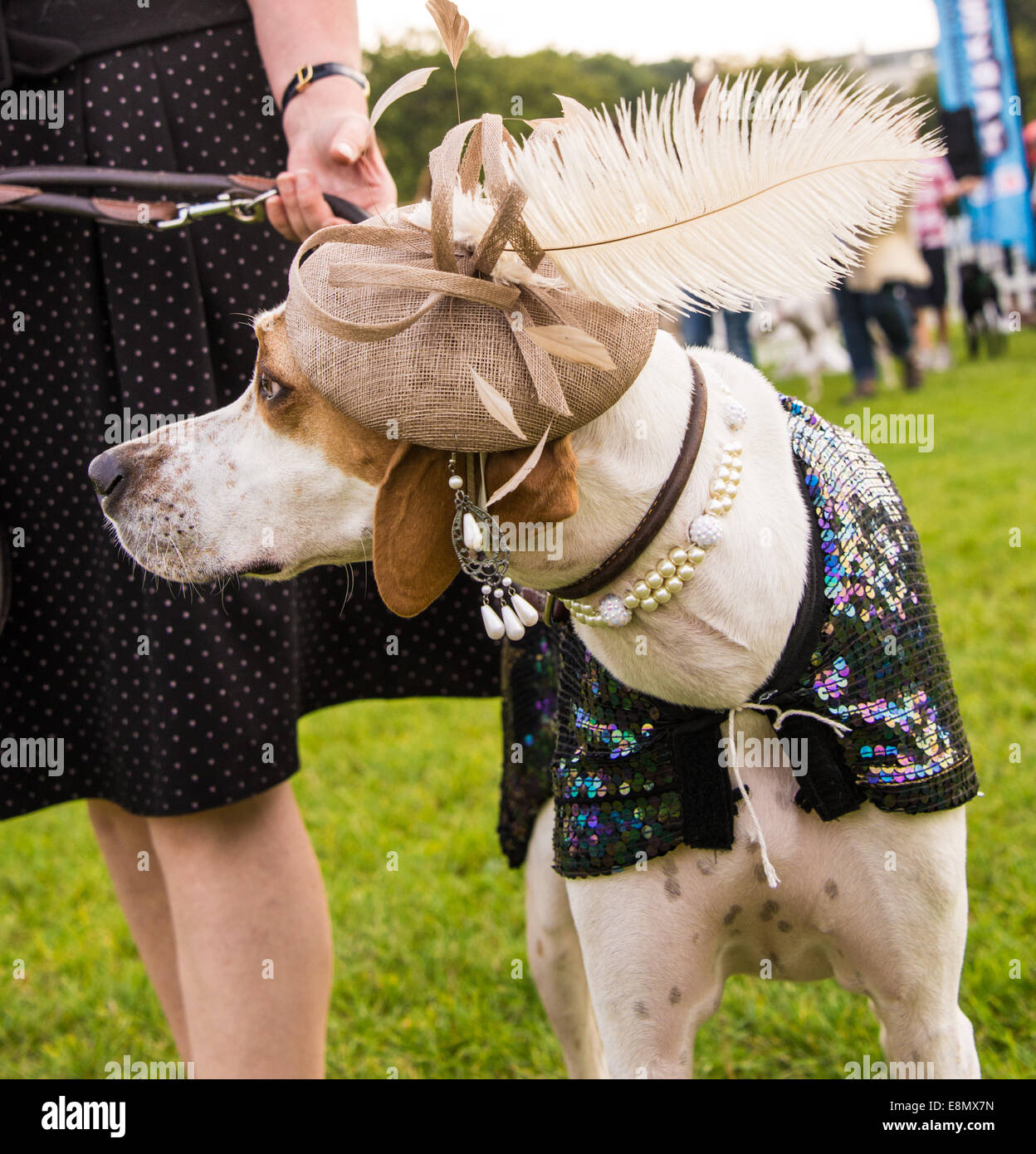 'Most Stylish Pooch Class': Winner Dottie [English Pointer] & Coleen Ling, at Pup Aid Celebrity Judged Dog Show on Primrose Hill Stock Photo