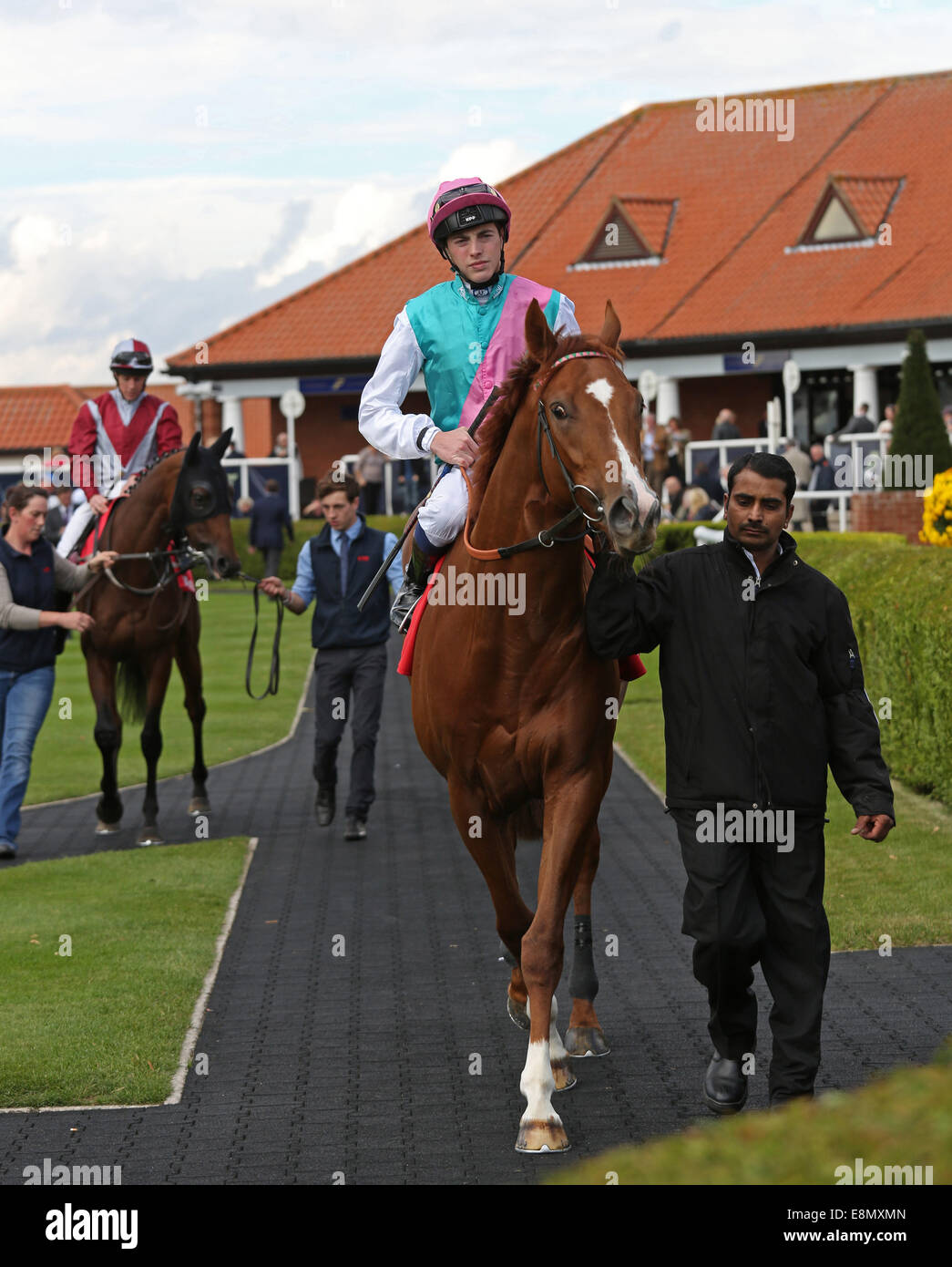 Newmarket, UK. 11th Oct, 2014. Newmarket Betfred Cesarewitch Day