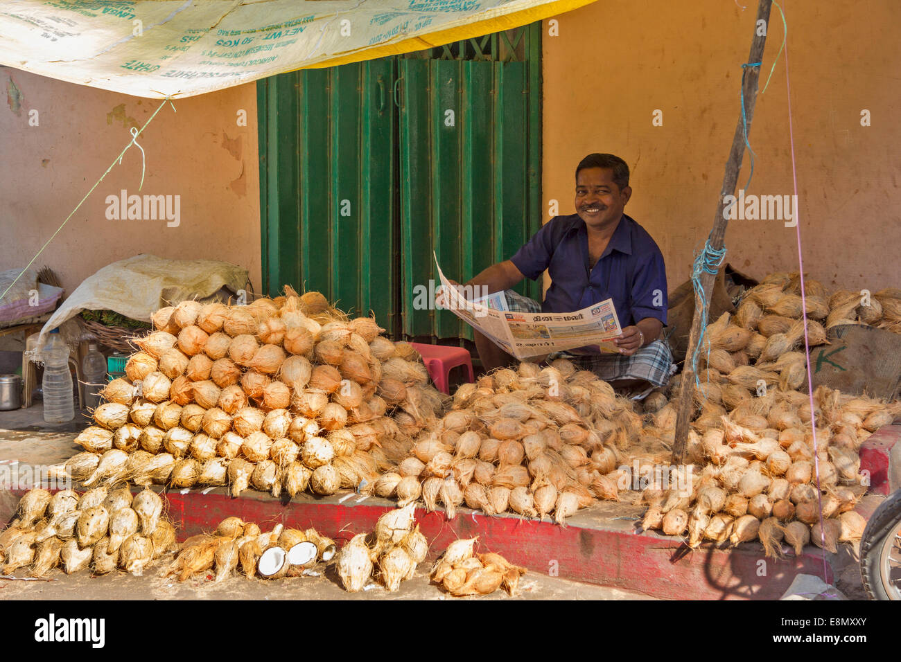 SOUTHERN INDIA COCONUT SELLER READING HIS NEWSPAPER IN A COVERED STREET STALL ON A PAVEMENT Stock Photo