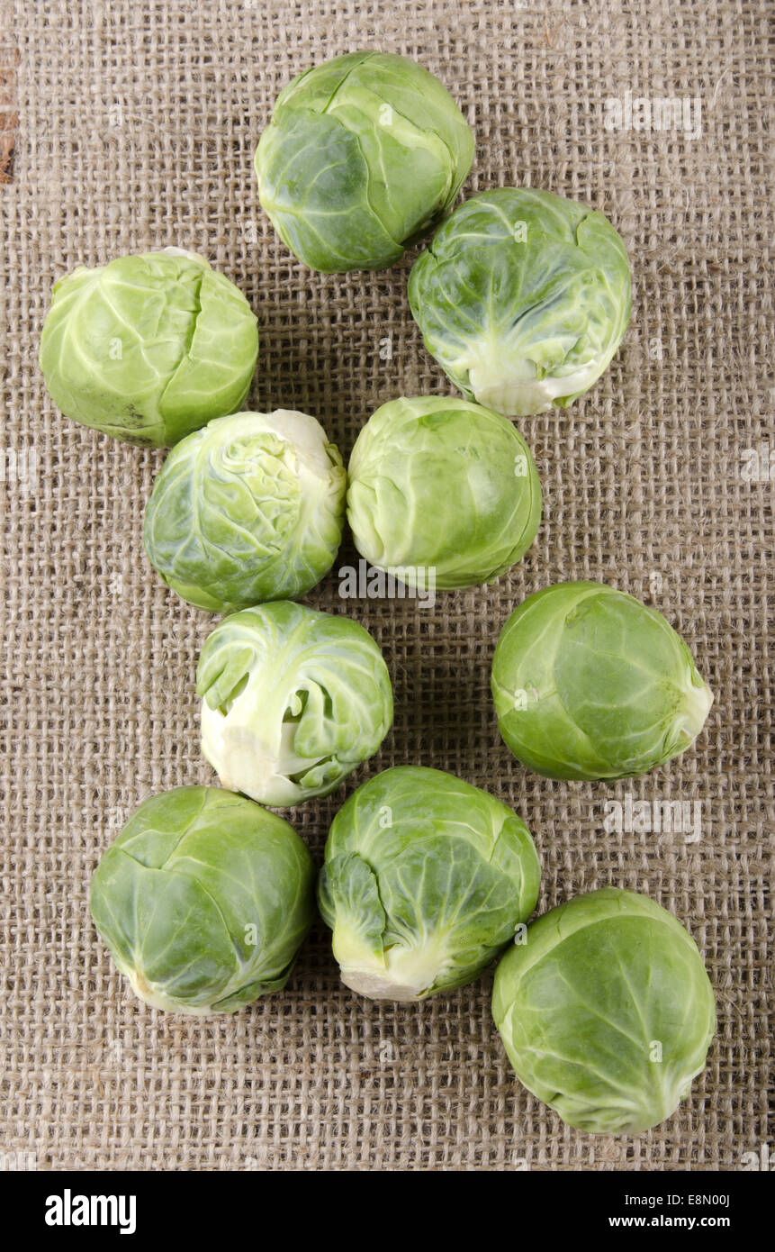 organic brussels sprouts on a jute cloth Stock Photo