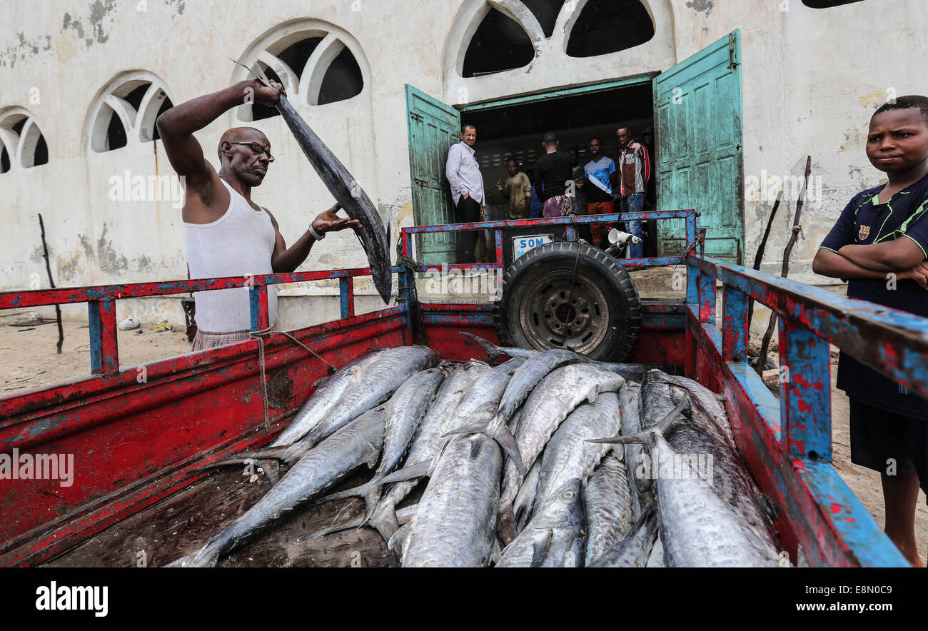 Mogadishu, Somalia. 11th Oct, 2014. Local fishermen prepare fish for