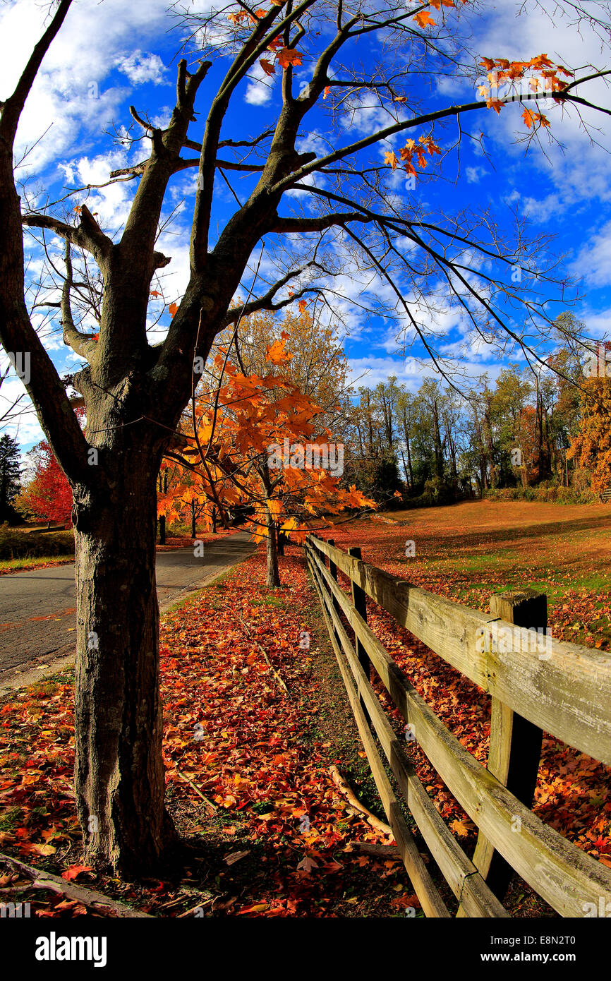 Country road Long Island New York Stock Photo Alamy