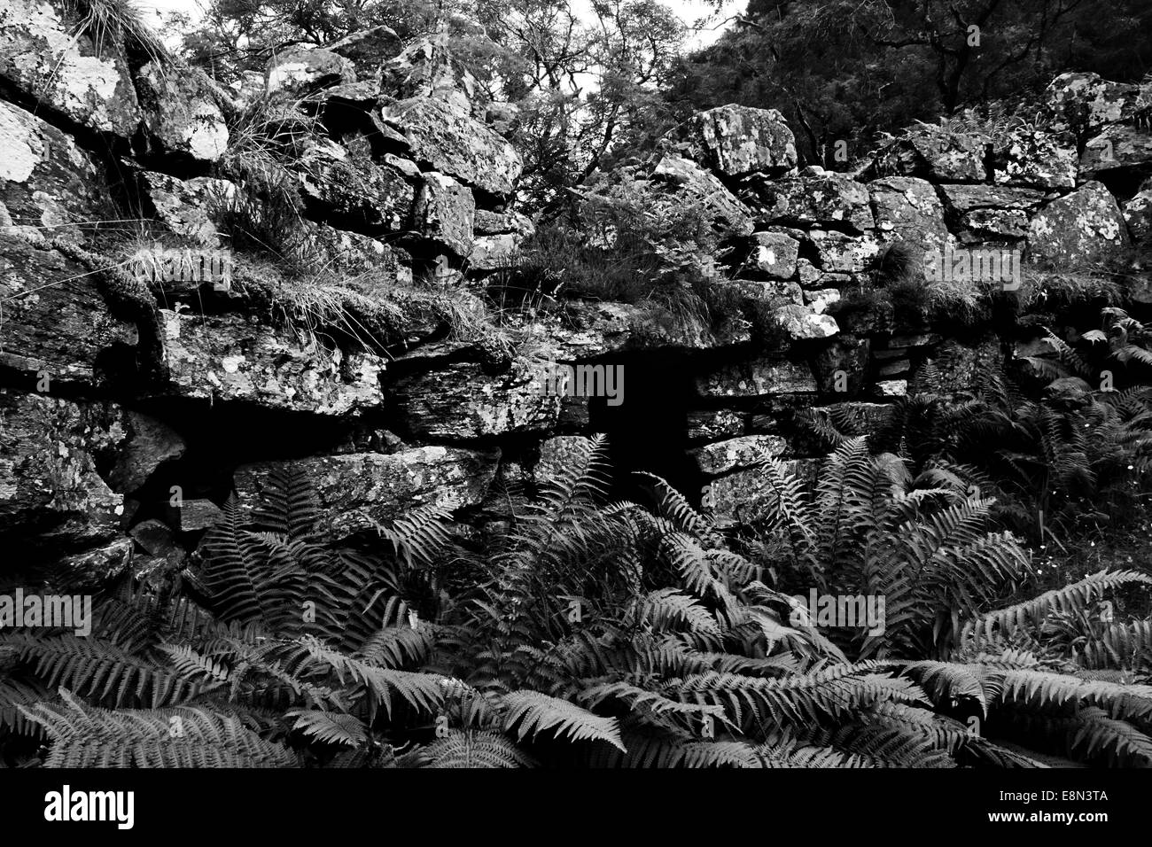 Caisteal Grugaig Interior Stock Photo Alamy