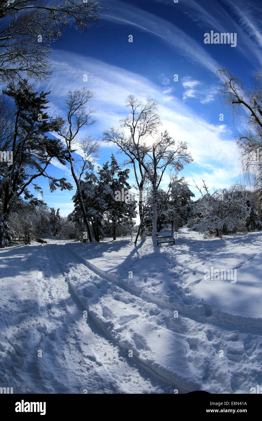 Snow covered park Long Island New York Stock Photo