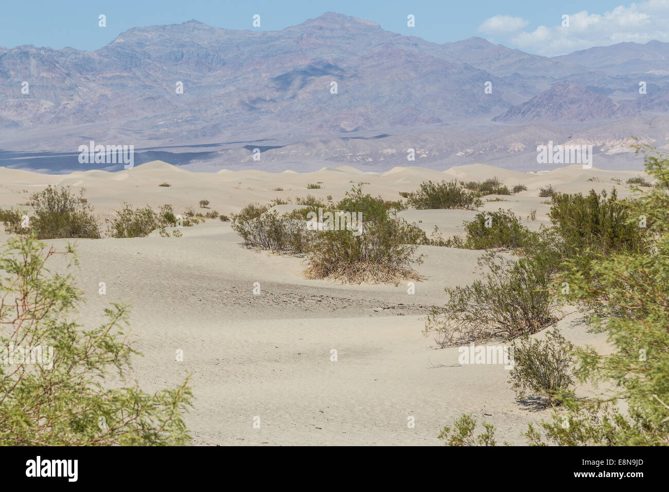 Mesquite Flat Sand Dunes in the Death Valley, mojave desert in