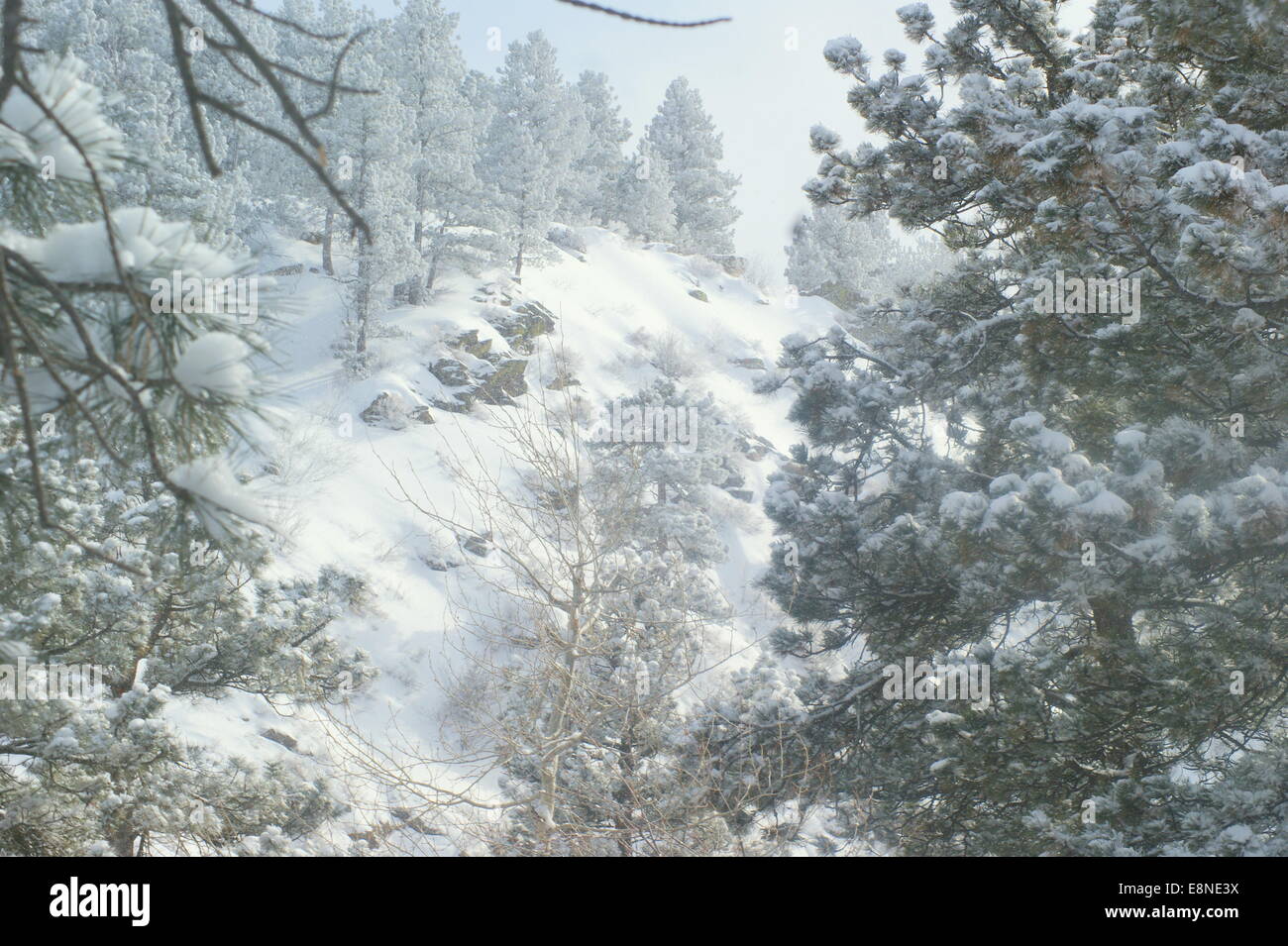Casper mountain, wyoming hires stock photography and images Alamy