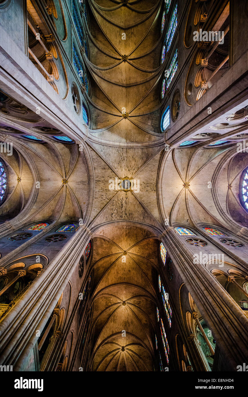 Ceiling Structure Of Notre Dame Paris France Stock Photo