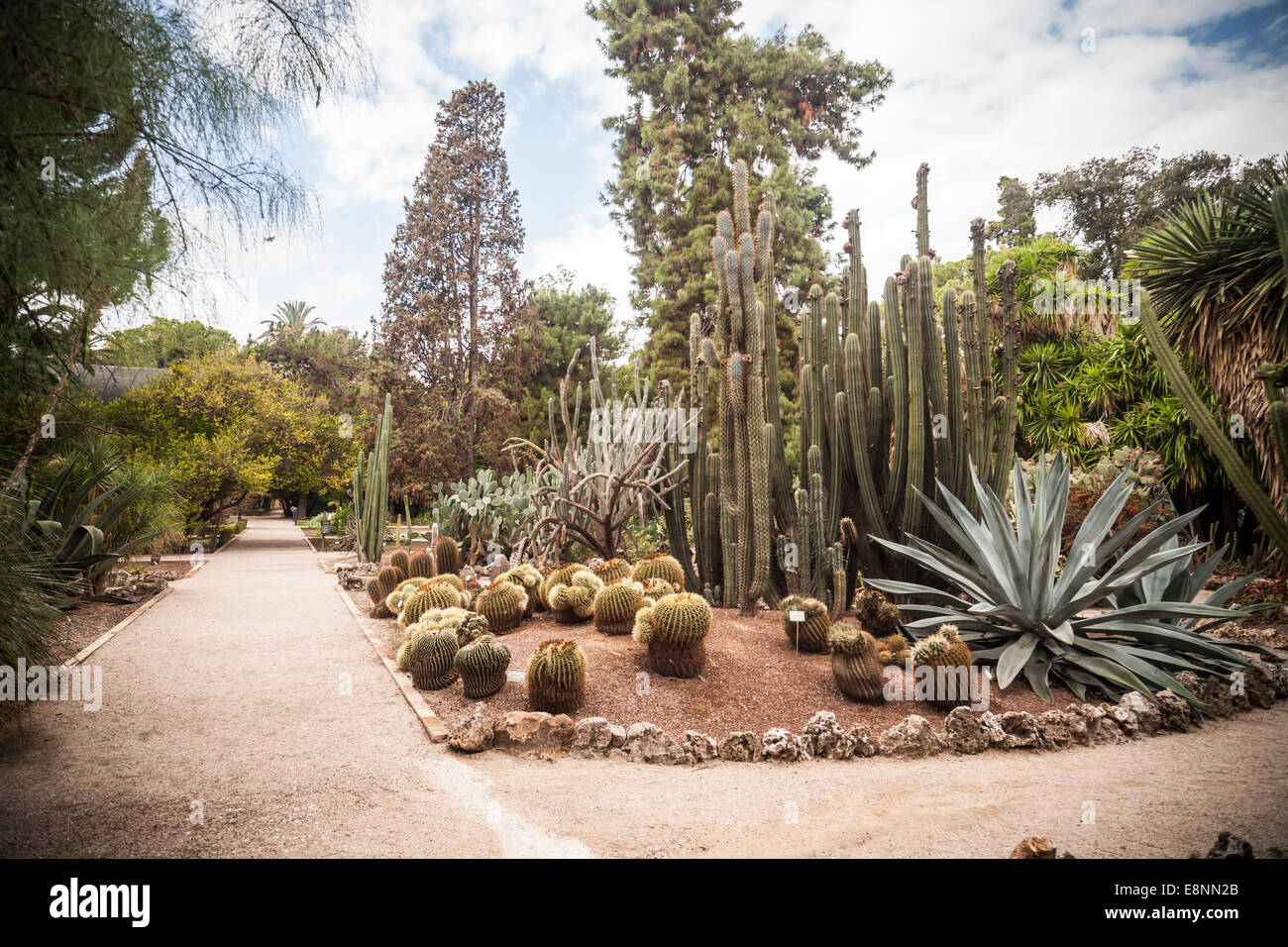 Botanic Garden, Valencia, Spain. Stock Photo