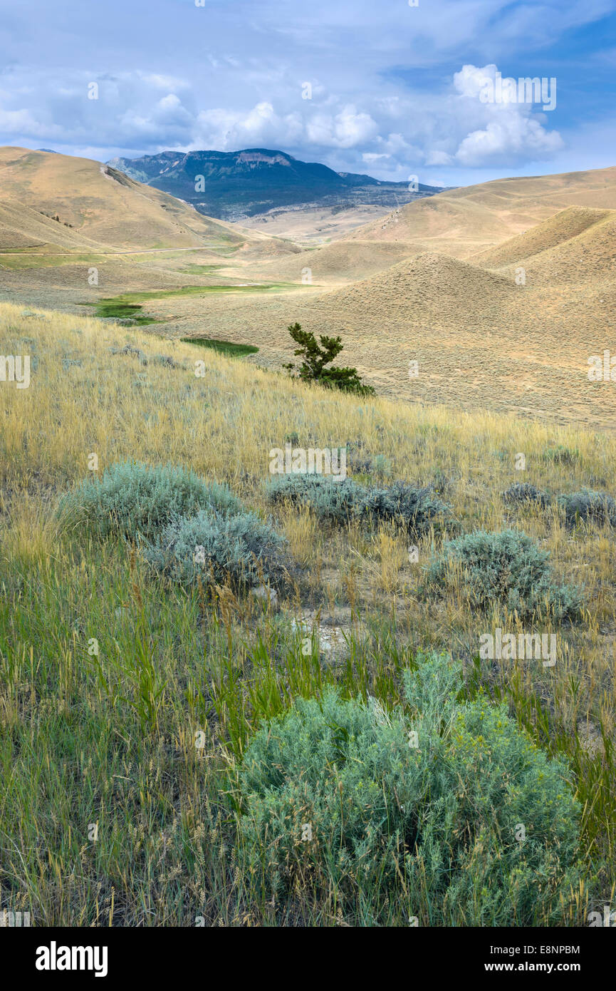 Beartooth mountains hires stock photography and images Alamy