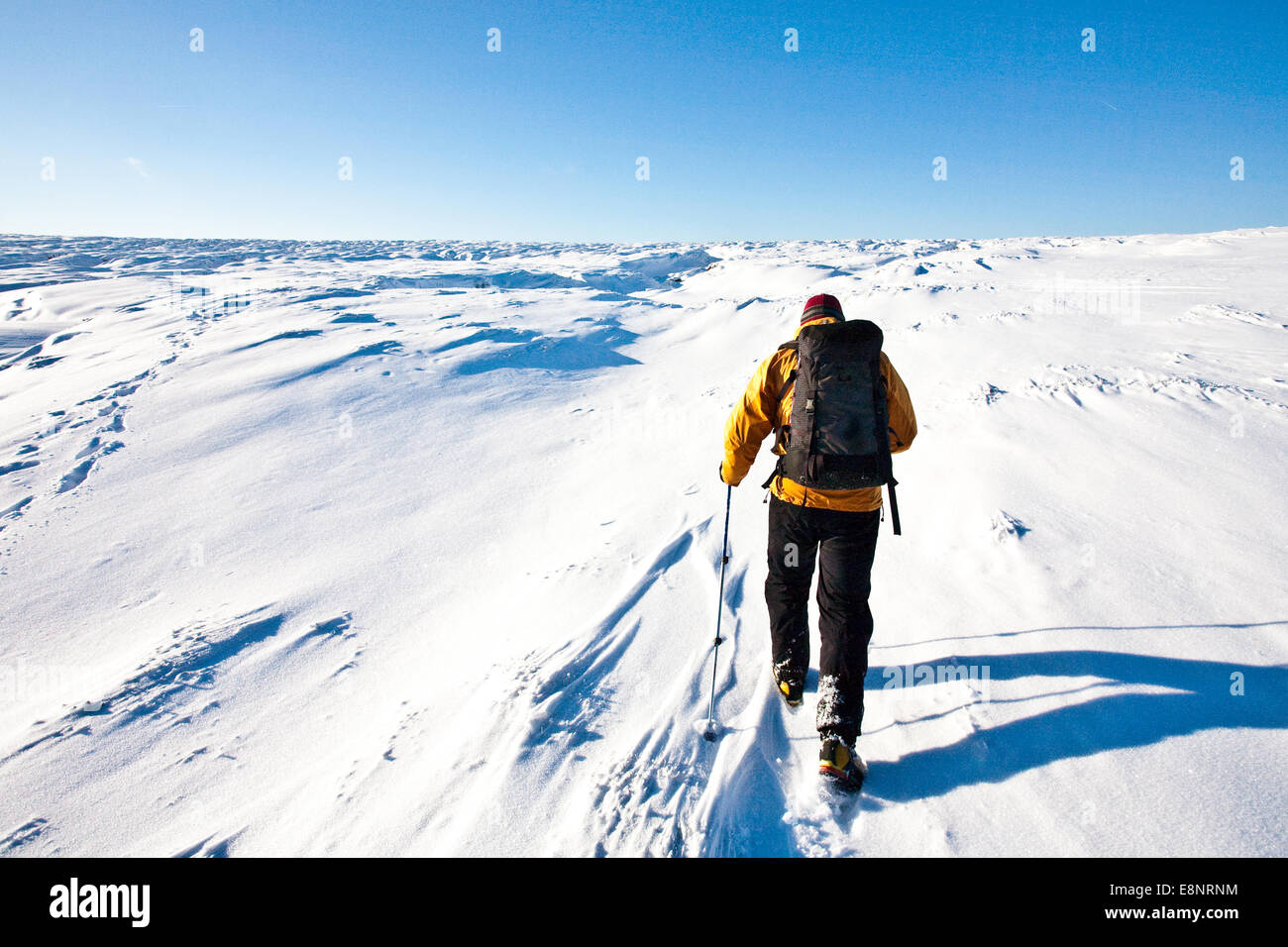 A mountaineer snow shoeing on the Kinder Plateau in the Peal District National Park, Derbyshire, England UK Stock Photo
