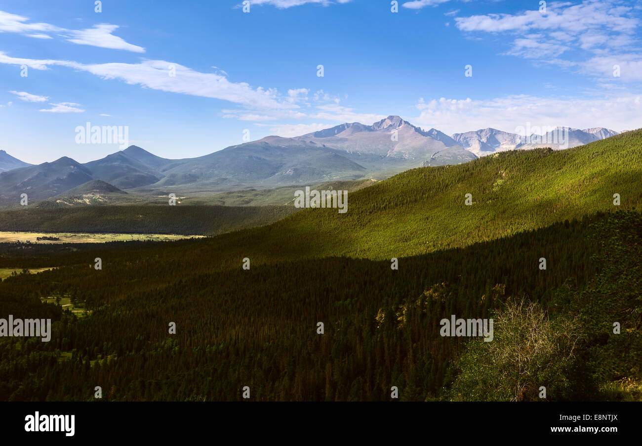 Rocky Mountains showing pine forests in the foreground on a  sunny morning  in summer, Colorado, USA. Stock Photo