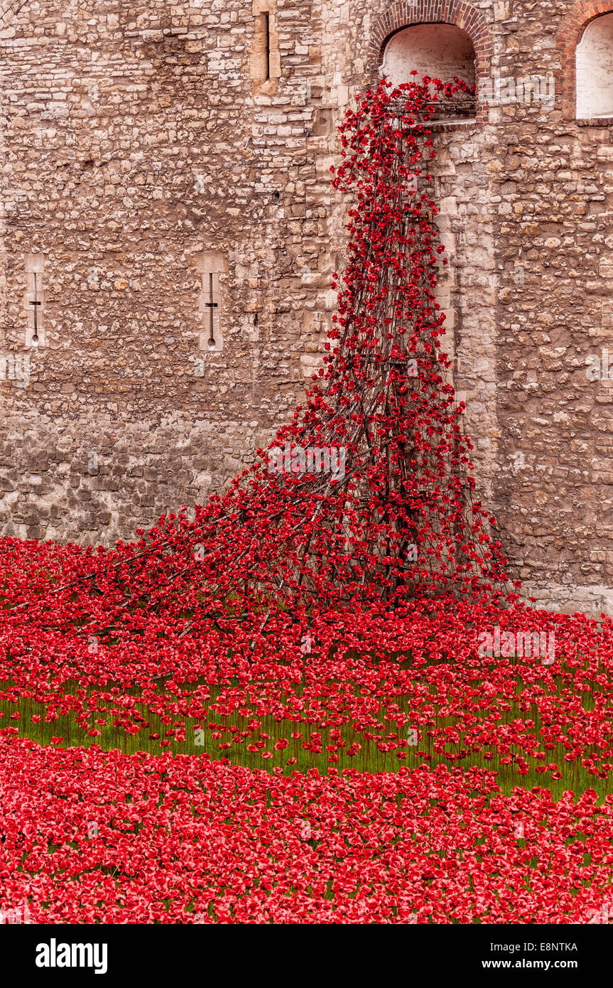 Poppies at tower hi-res stock photography and images - Alamy