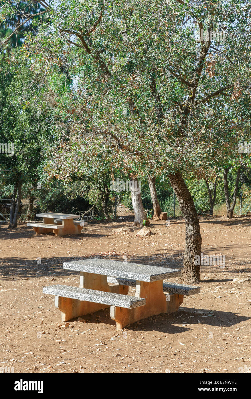 picnic tables in the park Stock Photo Alamy