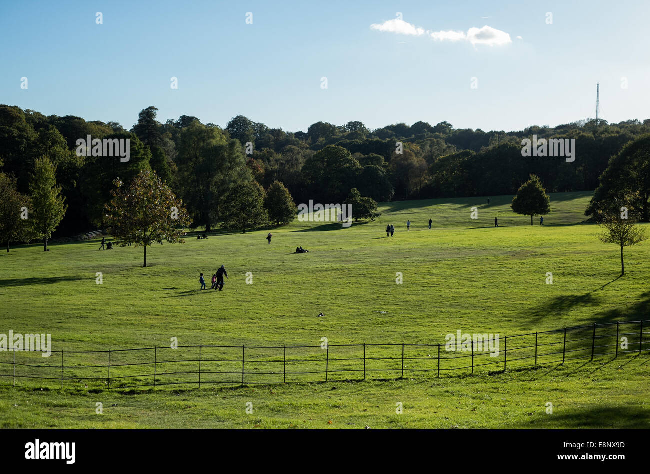 People enjoy the beautiful weather in Hampstead Heath in London in the