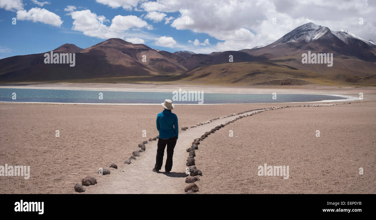 Laguna Miscanti, Southern high Altiplano, Atacama Desert, Chile, South America. Stock Photo