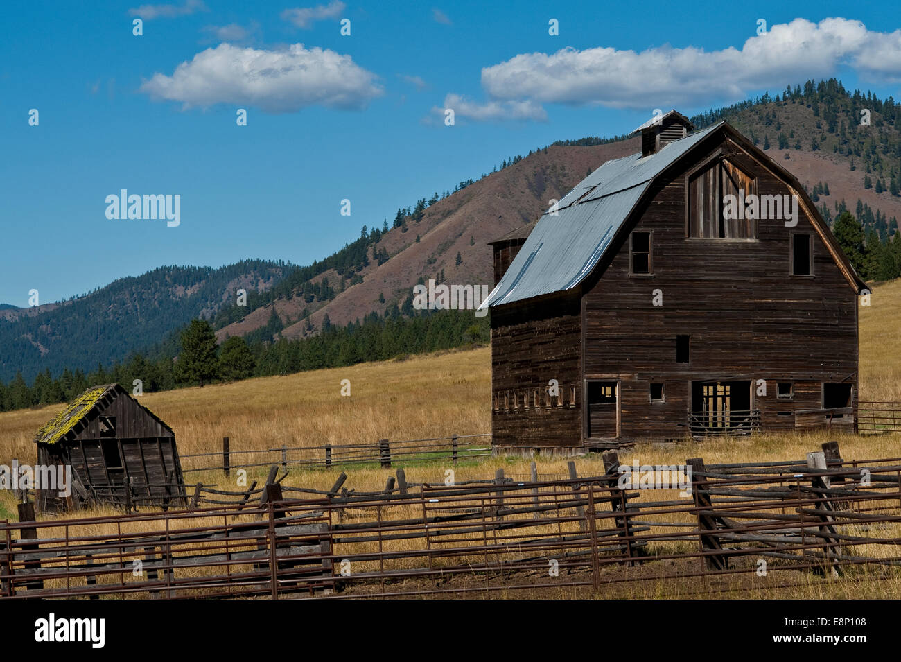 Eastern washington grasslands hi-res stock photography and images - Alamy