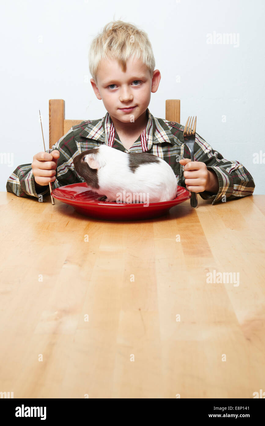 Child blond boy sitting at the table getting ready to eat with cutlery guinea pig (raw meat) sitting on a red plate Stock Photo