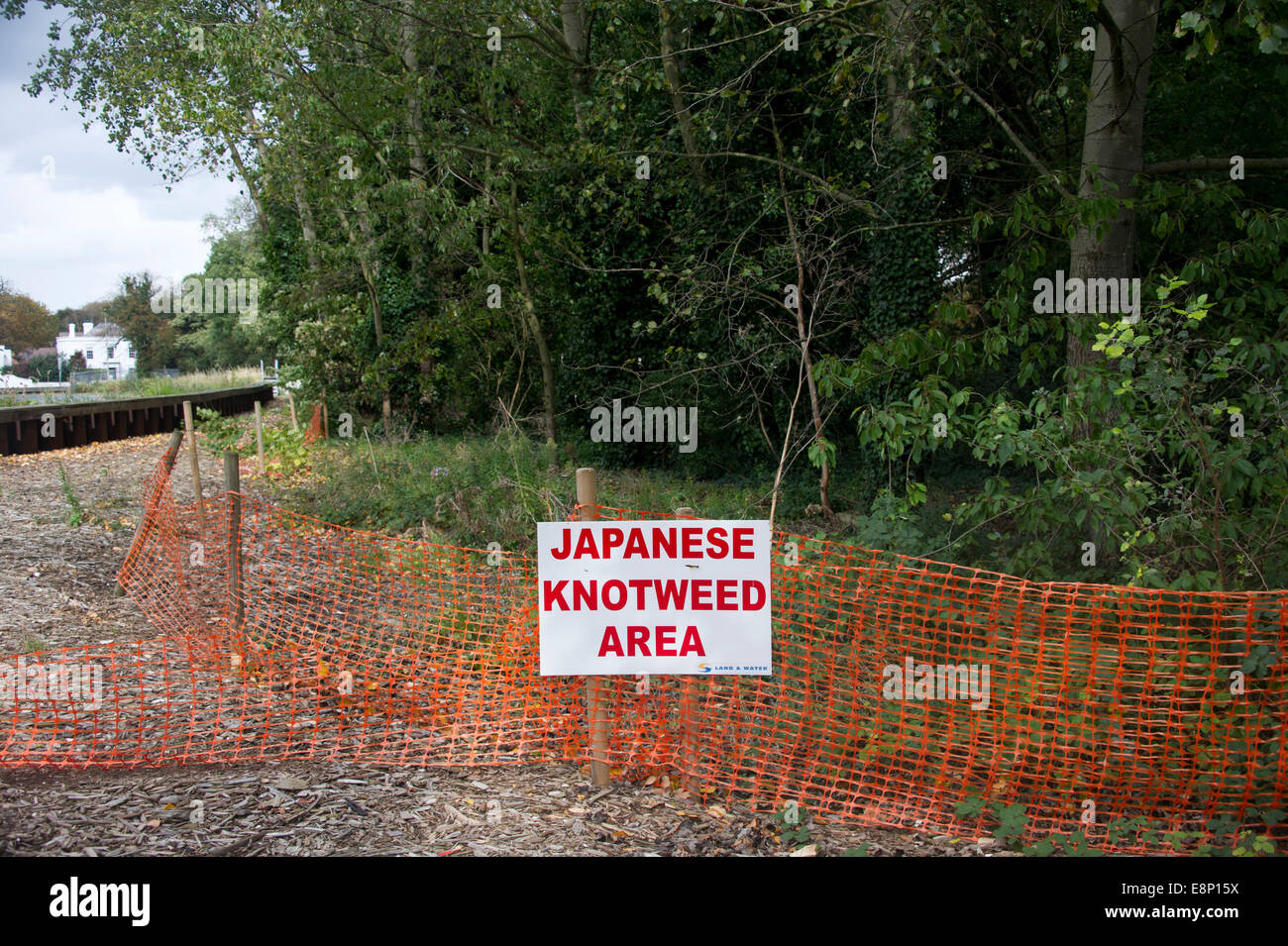 A sign warning of Japanese Knotweed invasion Stock Photo
