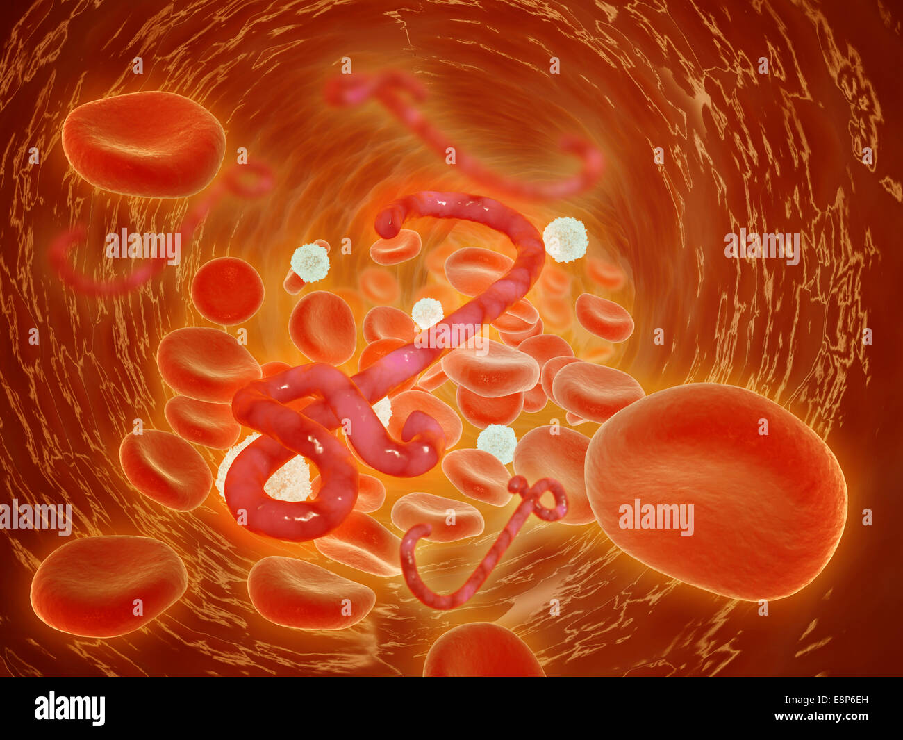 Conceptual image of ebola virus in artery. Stock Photo