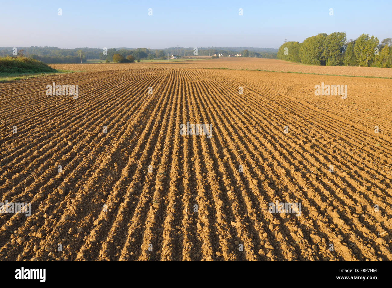 freshly plowed of land field forming furrows Stock Photo