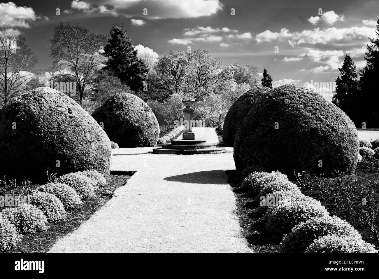 Ornamental grass border Black and White Stock Photos & Images - Alamy