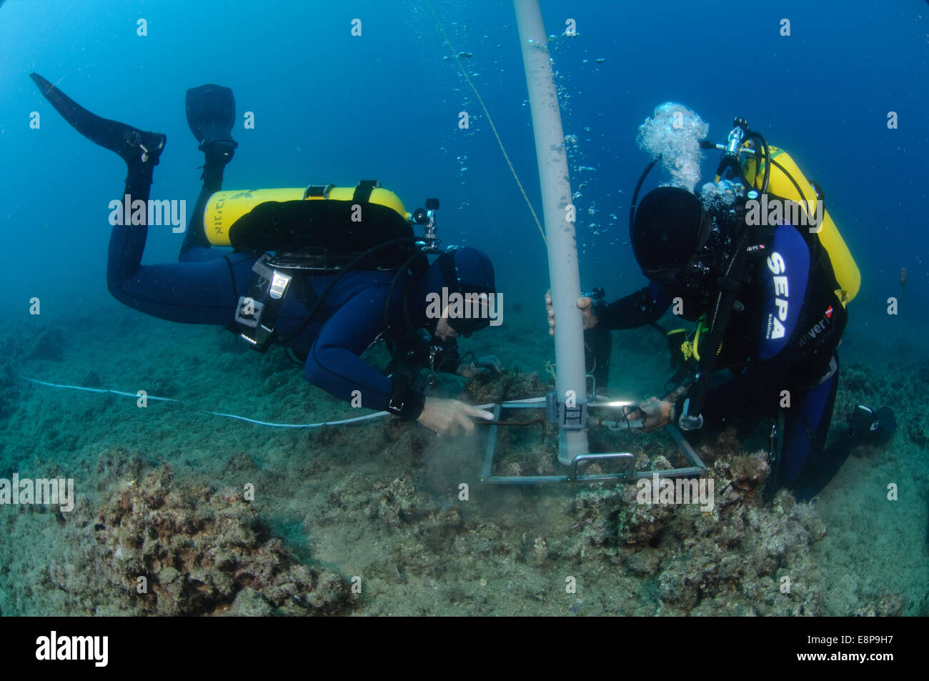 professional Scuba divers perform an underwater survey of the Mediterranean seabed Stock Photo