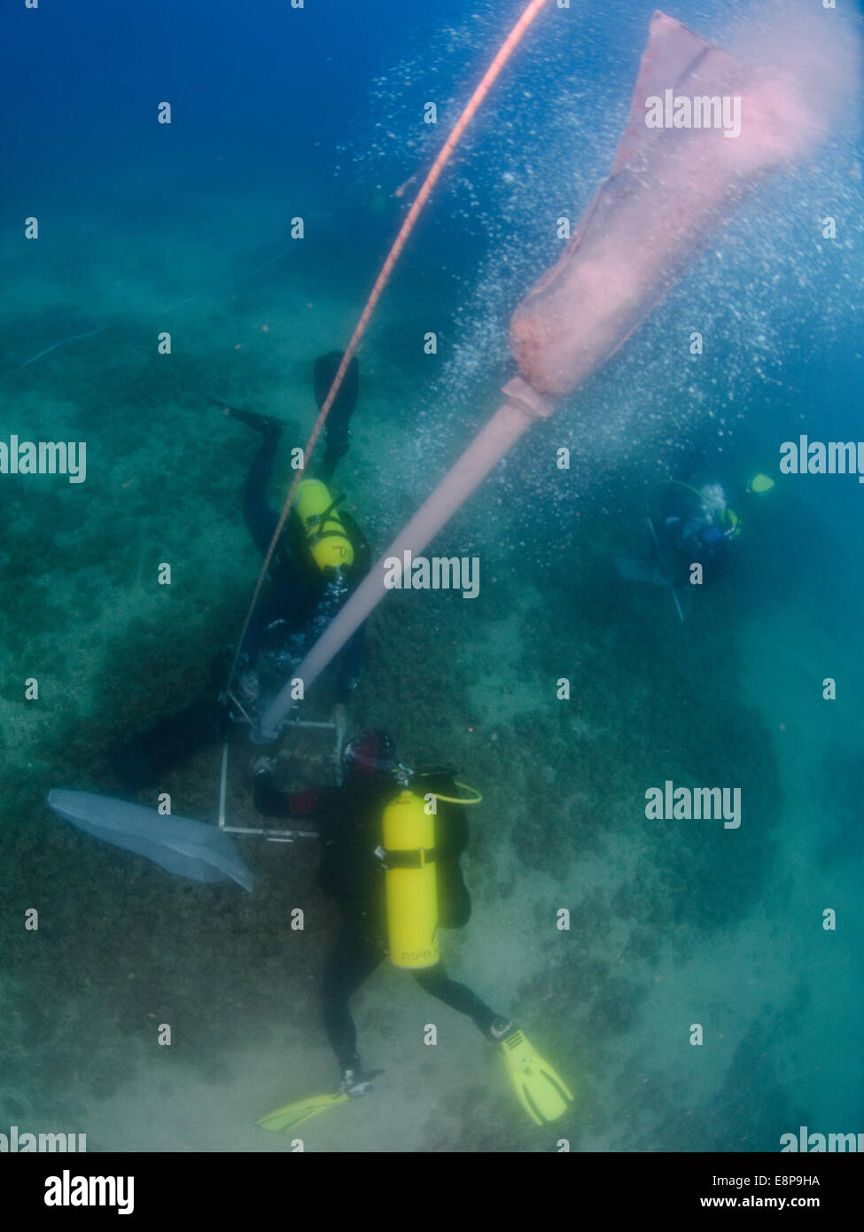 professional Scuba divers perform an underwater survey of the Mediterranean seabed Stock Photo