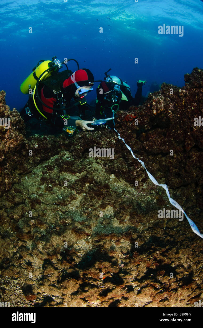 professional Scuba divers perform an underwater survey of the Mediterranean seabed Stock Photo