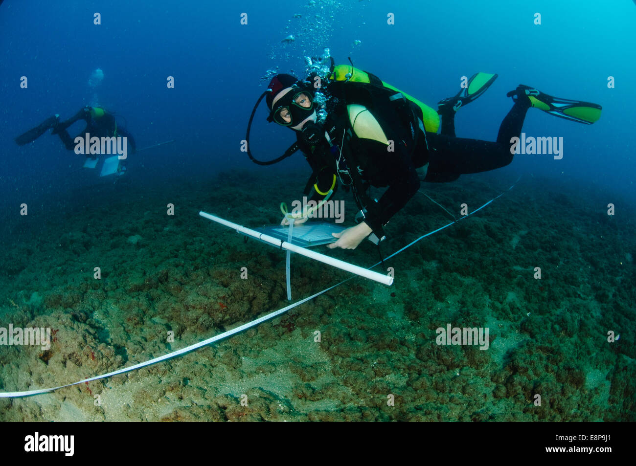 professional Scuba divers perform an underwater survey of the Mediterranean seabed Stock Photo