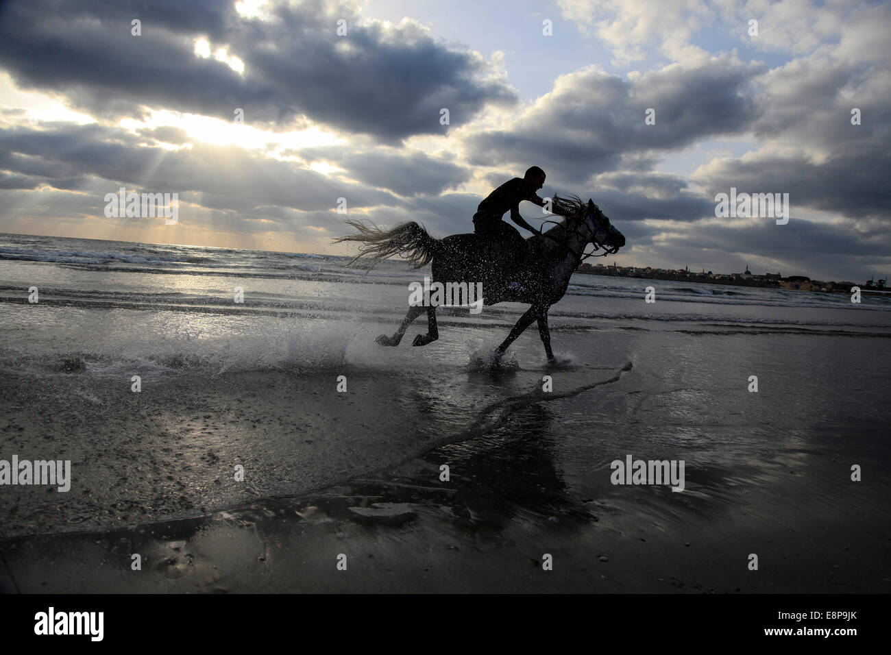 Silhouette of a man riding a horse on the beach Stock Photo - Alamy